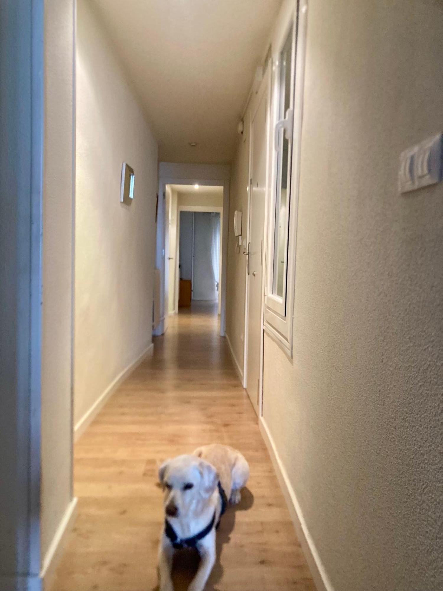 Apartamento San Gregorio Pamplona Eksteriør billede